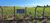 Terreno, 4 hectares - Foto 3