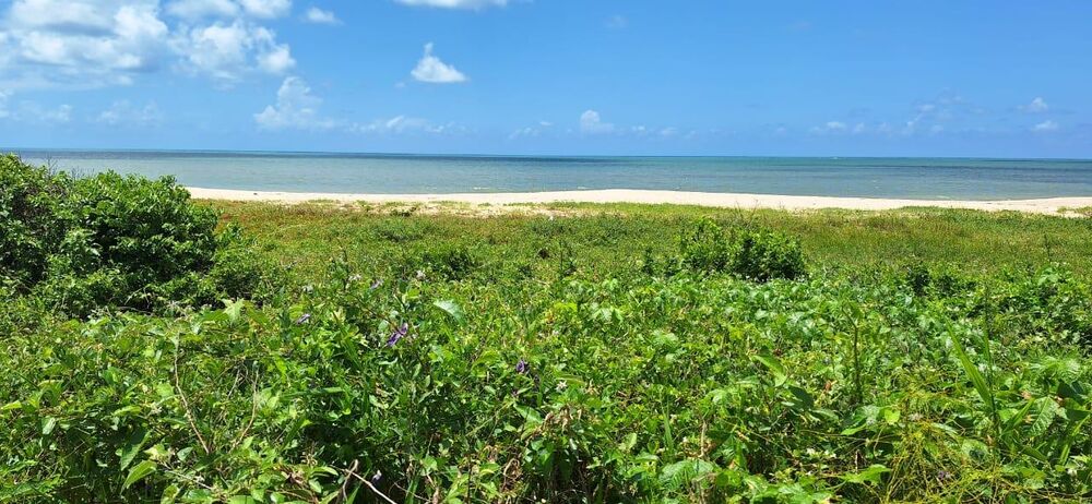 Terreno, 456 m² - Foto 2