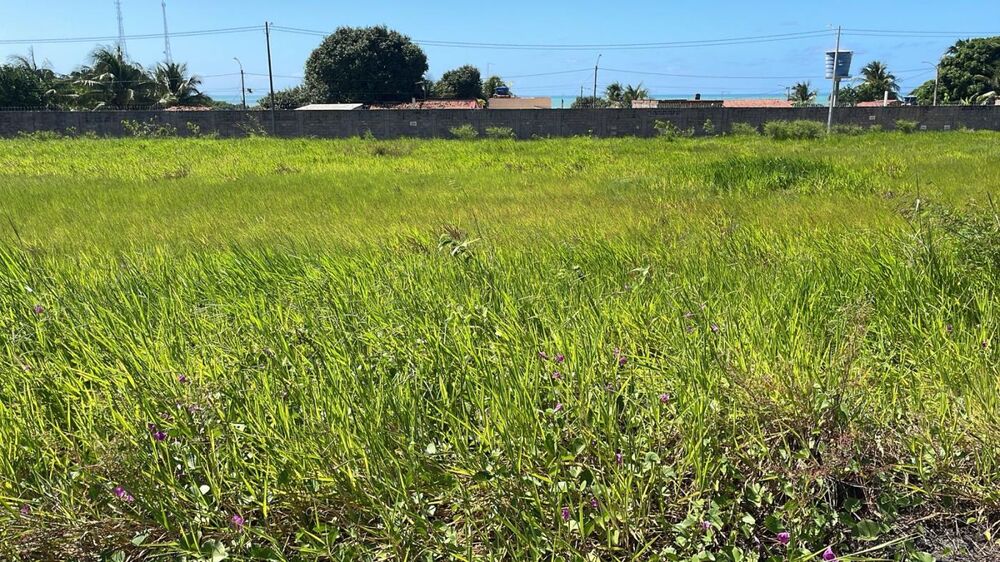 Terreno, 260 m² - Foto 4