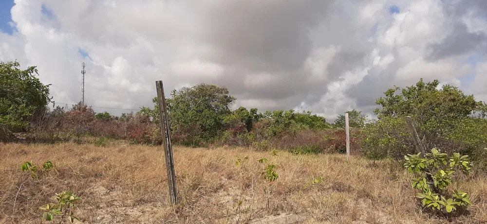 Terreno - Foto 1