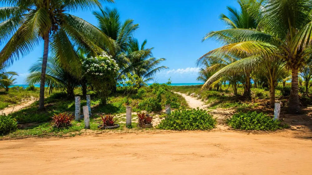 Casa, 6 quartos - Foto 6