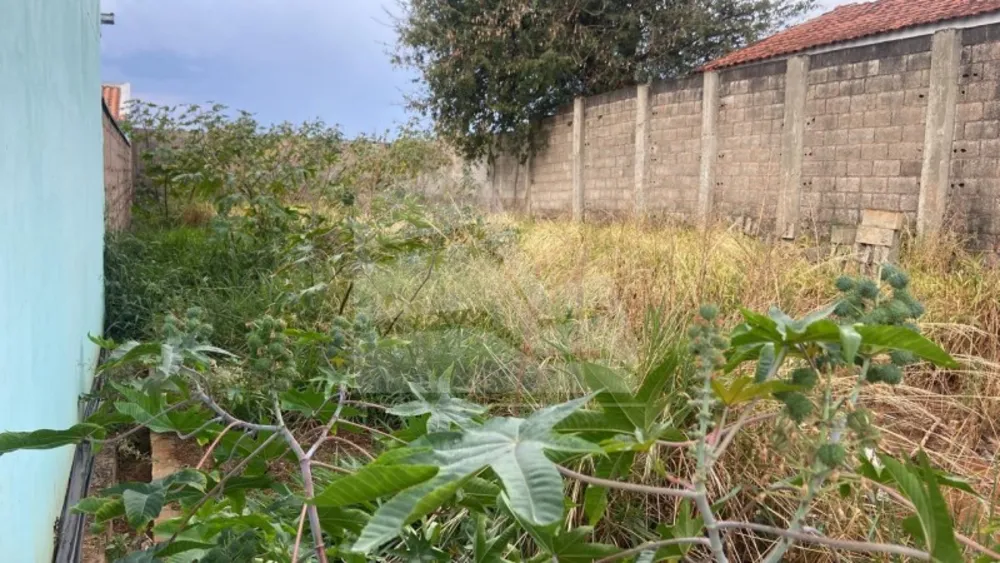 Terreno, 270 m² - Foto 4