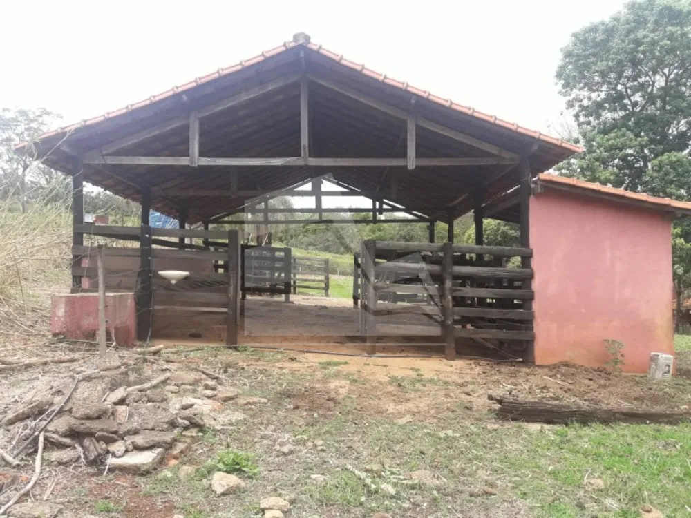 Sítio - Foto 7