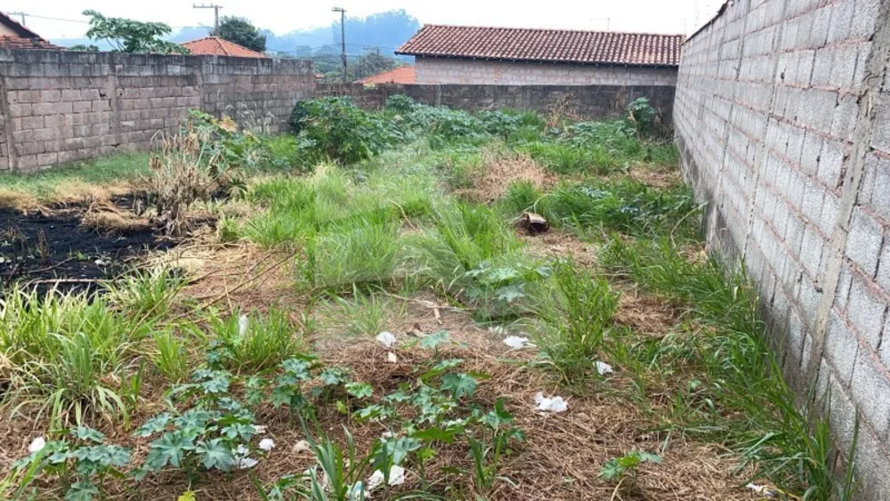 Terreno, 250 m² - Foto 1