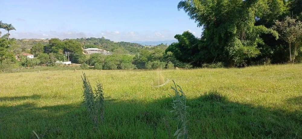 Terreno, 3 hectares - Foto 12