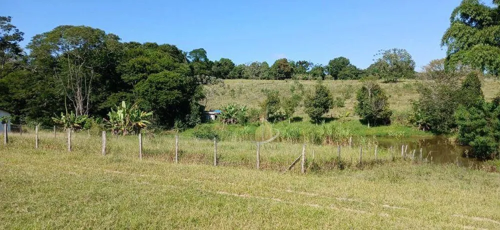 Terreno, 3 hectares - Foto 10