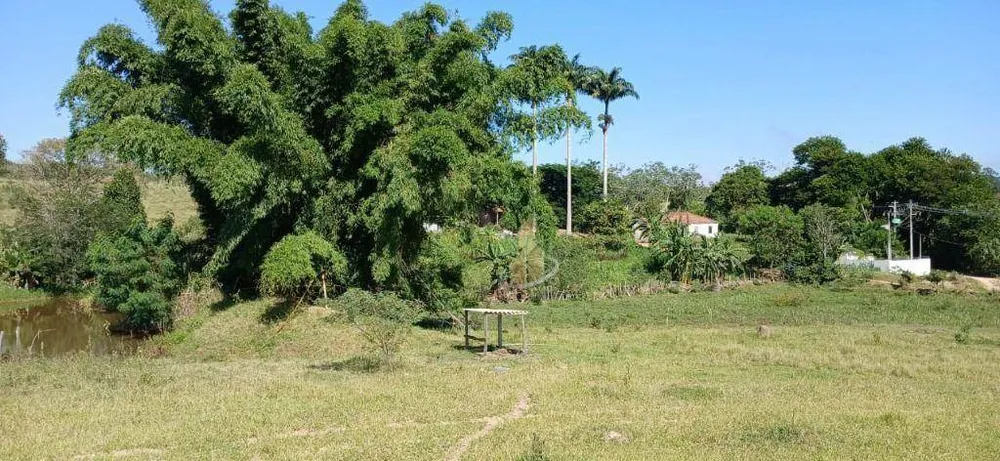 Terreno, 3 hectares - Foto 5