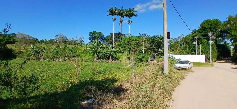 Terreno, 3 hectares - Foto 9