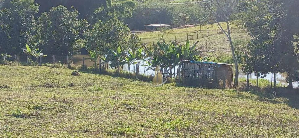 Terreno, 3 hectares - Foto 15