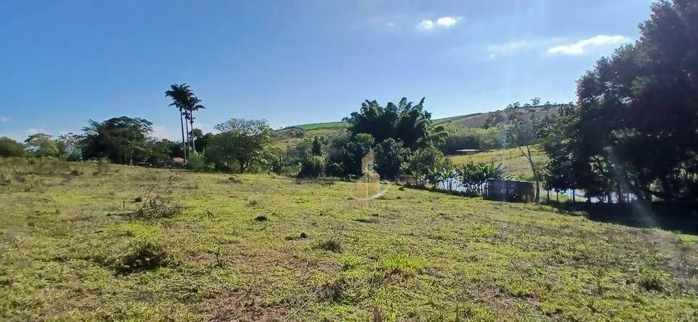 Terreno, 3 hectares - Foto 7