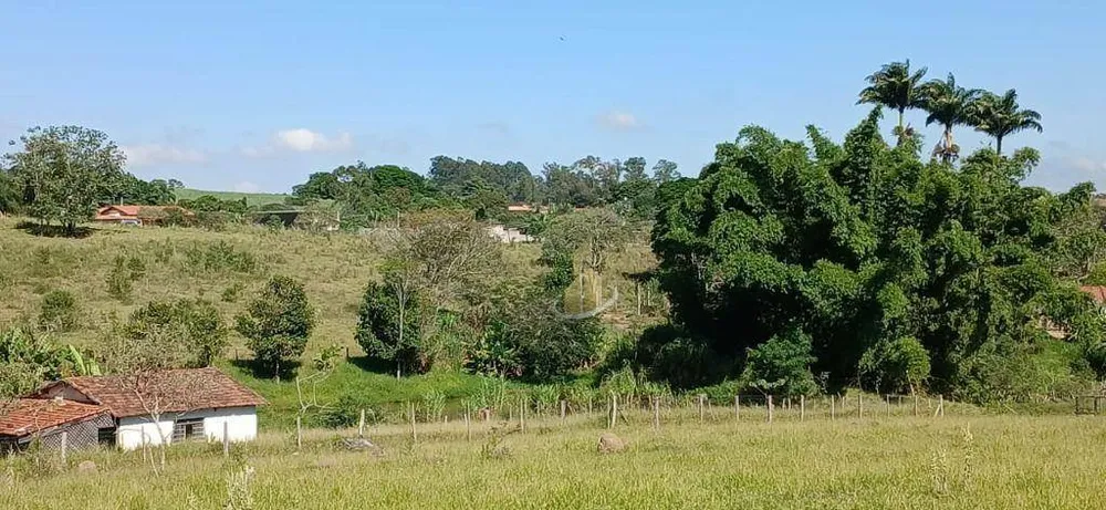Terreno, 3 hectares - Foto 3