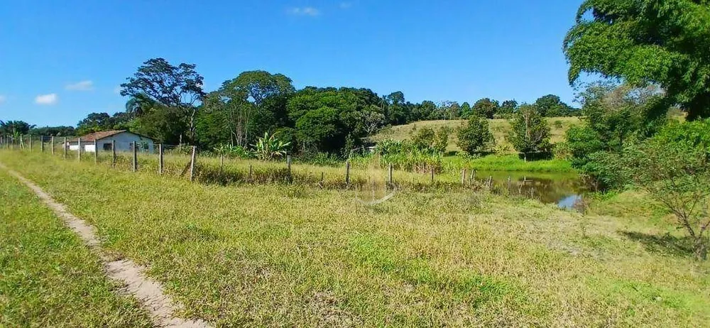 Terreno, 3 hectares - Foto 6