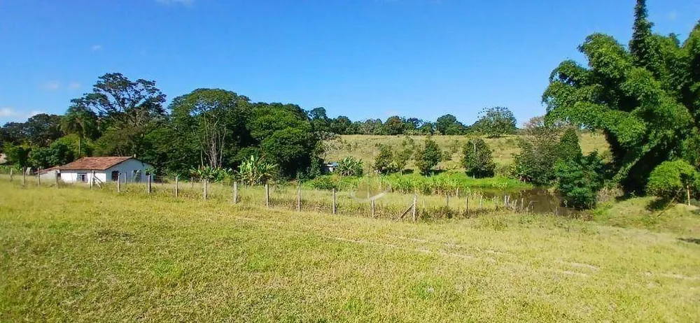 Terreno, 3 hectares - Foto 13