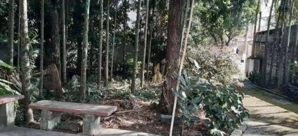 Chácara, 4 quartos, 2000 m² - Foto 6