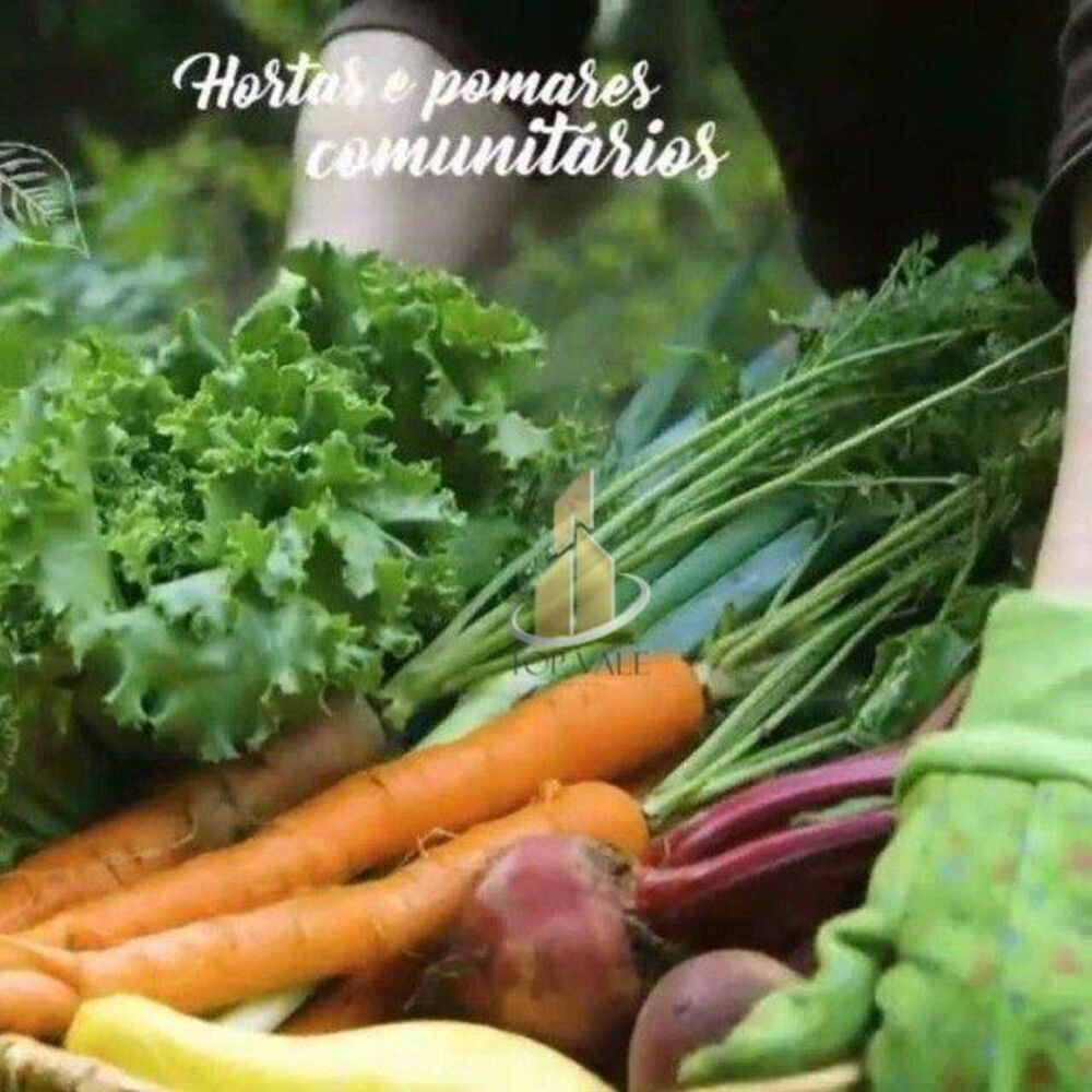 Loteamento e Condomínio, 526 m² - Foto 4