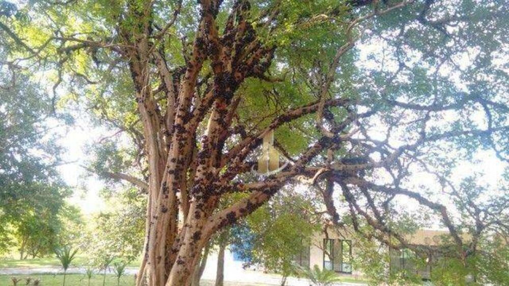 Loteamento e Condomínio, 526 m² - Foto 9