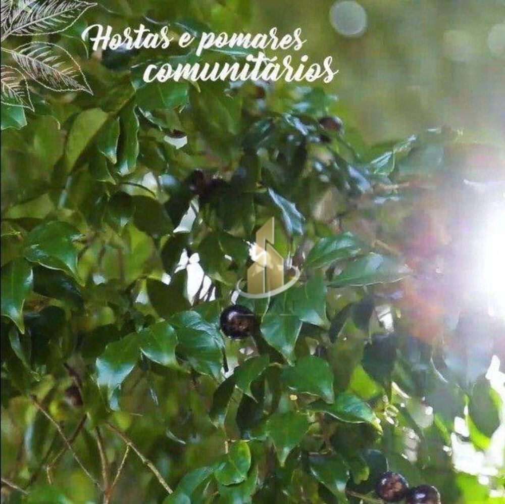 Loteamento e Condomínio, 526 m² - Foto 7