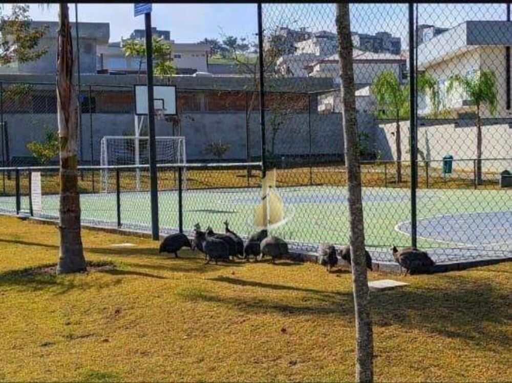 Loteamento e Condomínio, 607 m² - Foto 3