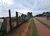 Terreno, 720 m² - Foto 3
