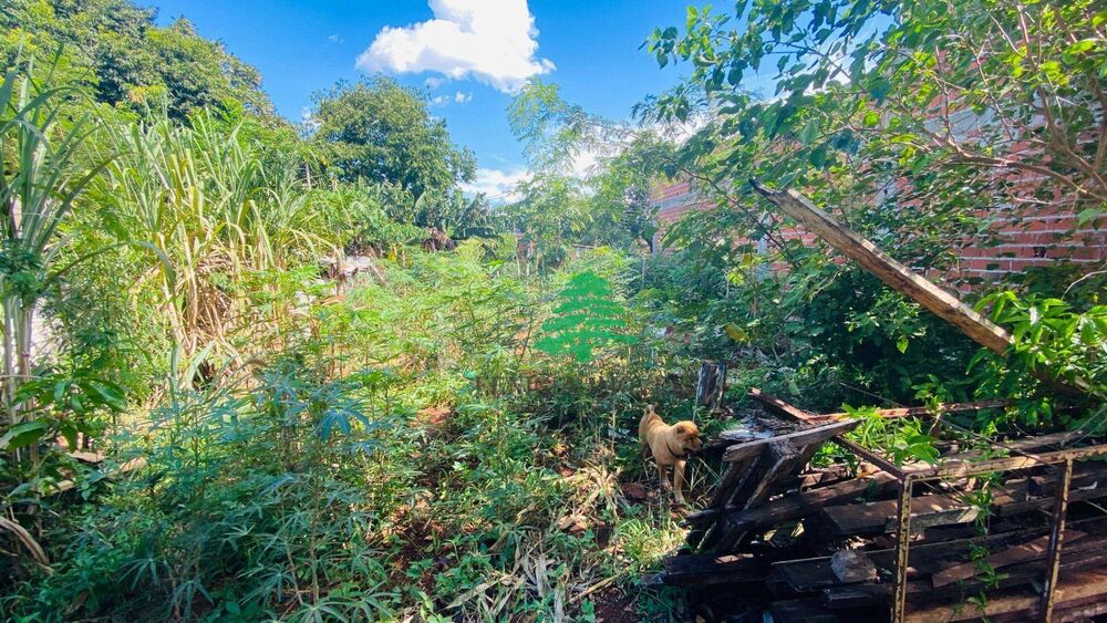 Terreno, 317 m² - Foto 4