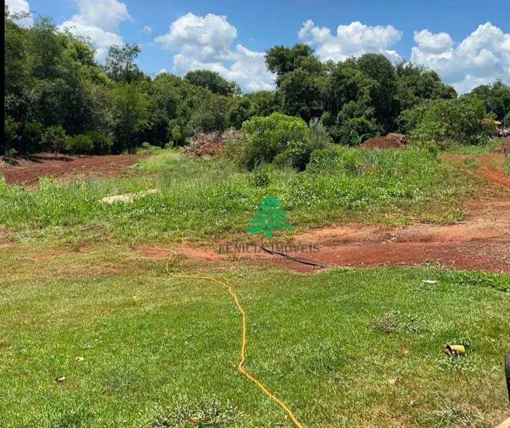 Chácara, 10000 m² - Foto 3