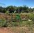 Chácara, 2 hectares - Foto 4