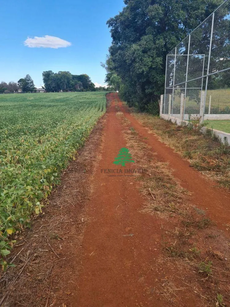 Chácara, 4 hectares - Foto 1