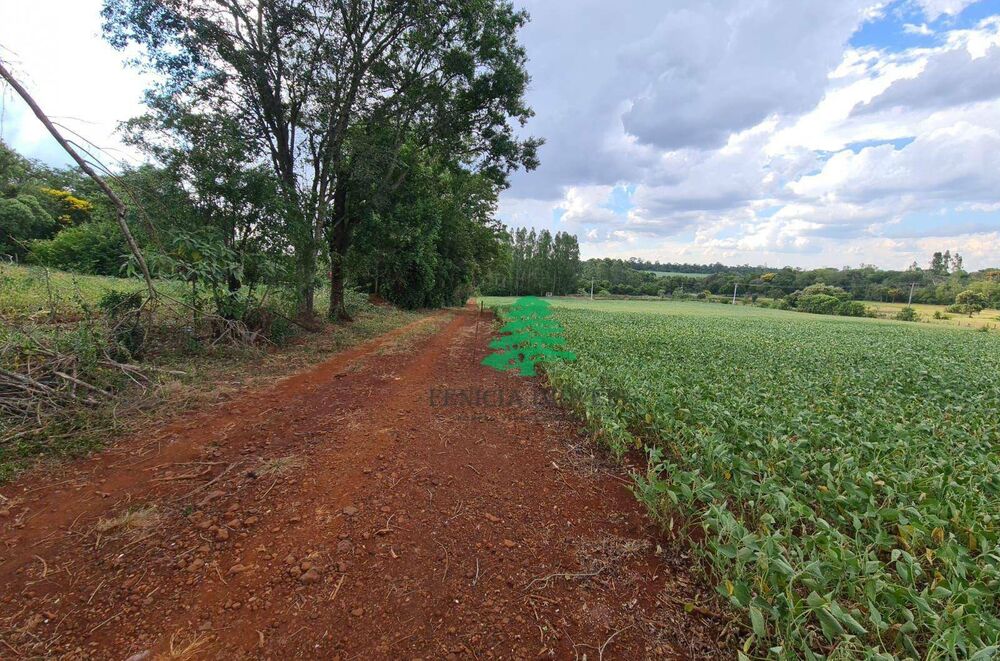 Chácara, 4 hectares - Foto 1