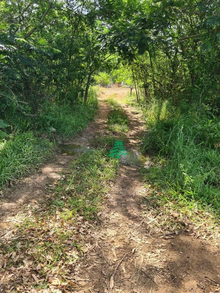 Chácara, 4 hectares - Foto 2