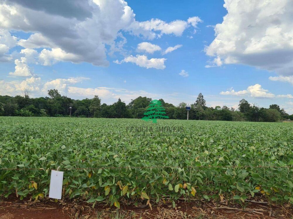 Chácara, 4 hectares - Foto 4