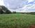 Chácara, 4 hectares - Foto 3