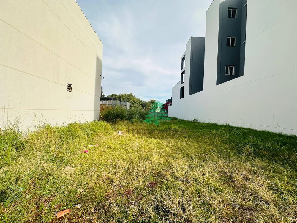 Terreno, 454 m² - Foto 4