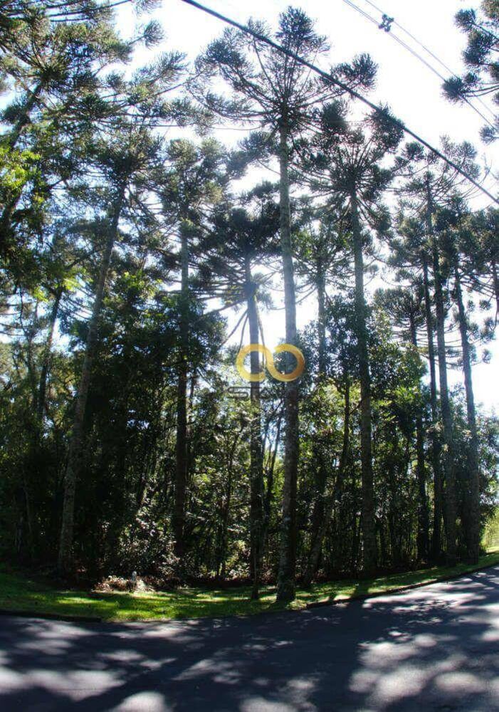 Loteamento e Condomínio, 4663 m² - Foto 1