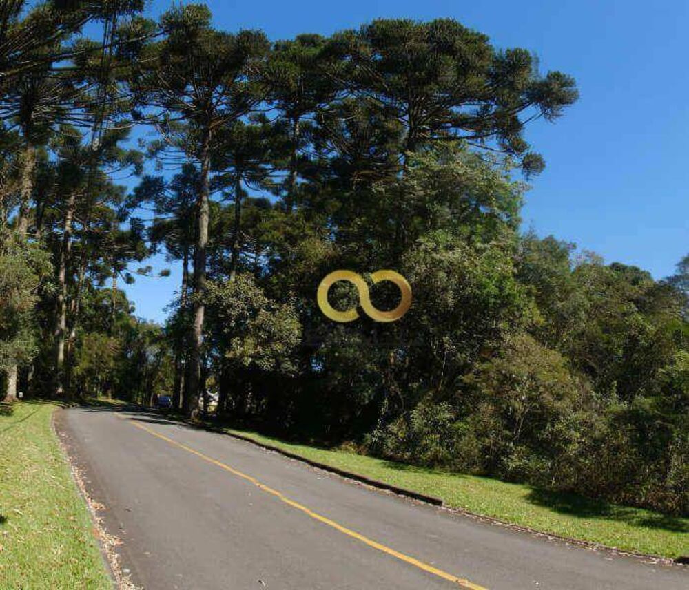 Loteamento e Condomínio, 4663 m² - Foto 2