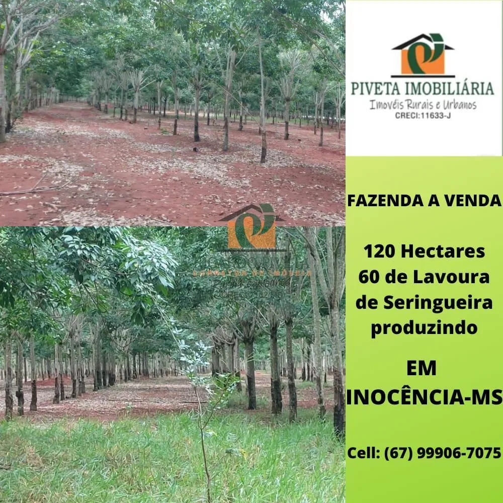 Fazenda - Foto 1