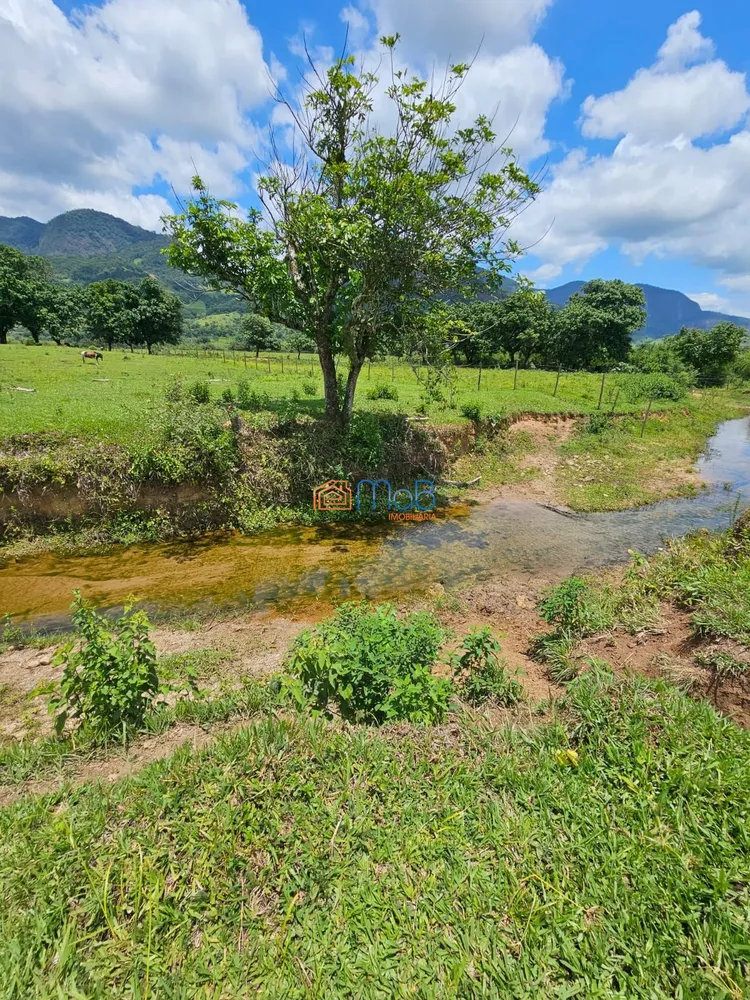 Chácara, 4 quartos, 5000 m² - Foto 25