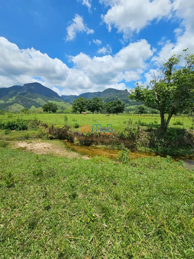 Chácara, 4 quartos, 5000 m² - Foto 5