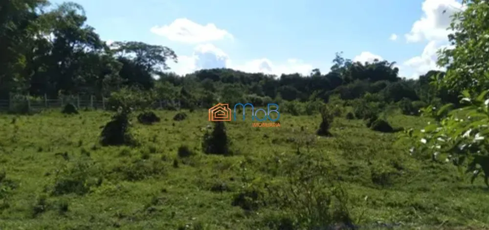 Terreno, 10000 m² - Foto 1