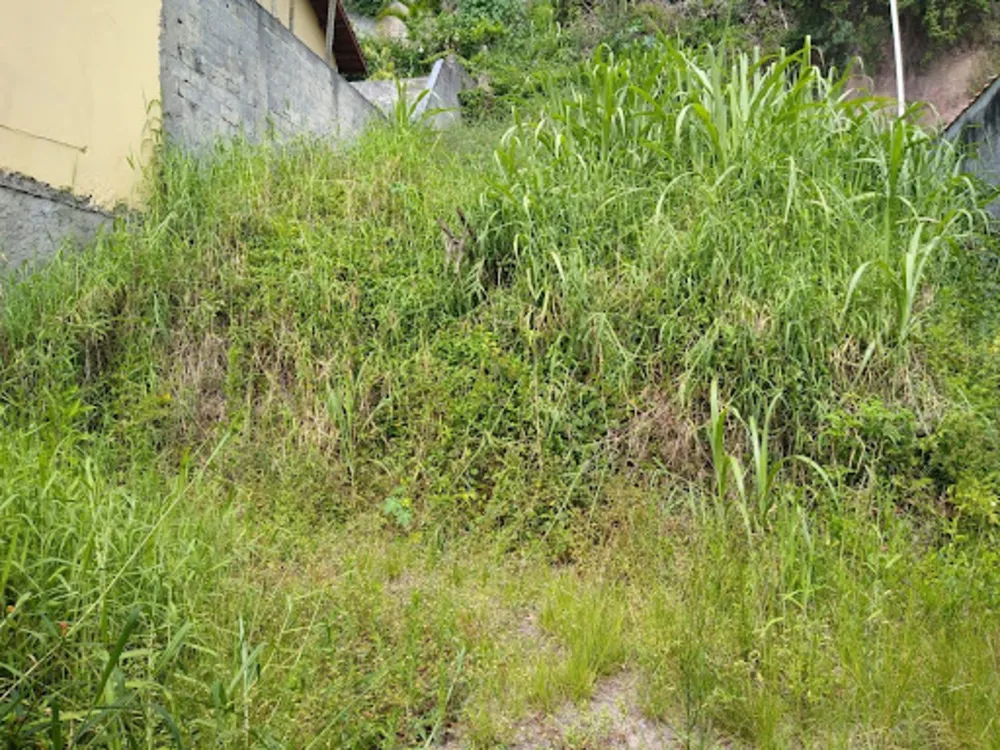 Terreno, 277 m² - Foto 3