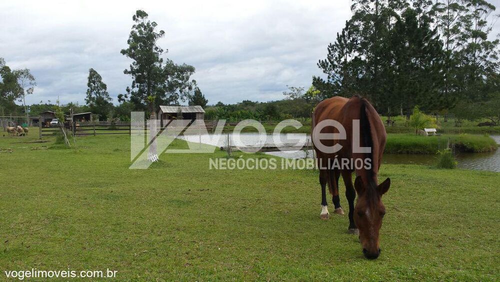 Sítio à venda, 10000m² - Foto 3