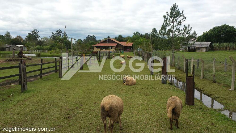 Sítio à venda, 10000m² - Foto 1