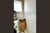 Apartamento, 2 quartos, 56 m² - Foto 2