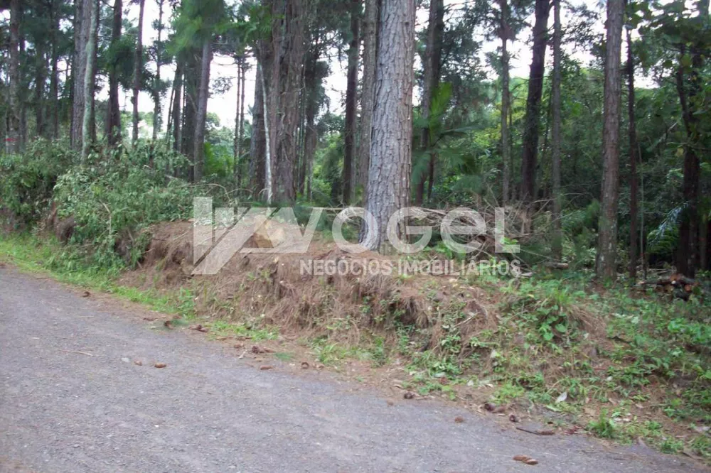 Terreno à venda - Foto 1