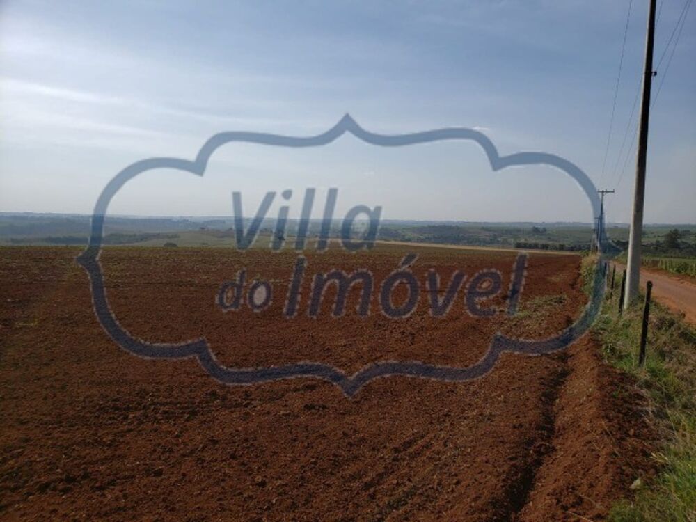 Fazenda, 503 hectares - Foto 7