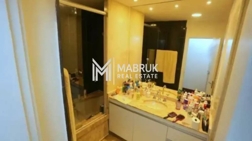 Apartamento, 4 quartos, 250 m² - Foto 13