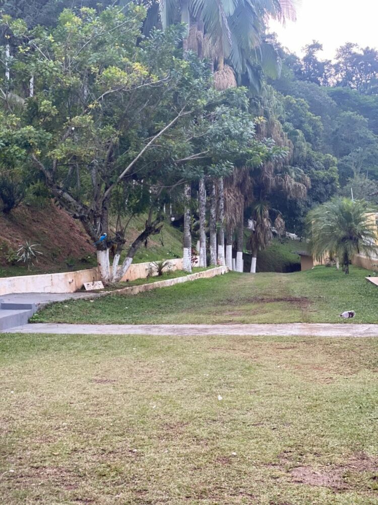 Chácara à venda com 4 quartos, 270m² - Foto 2