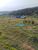 Terreno, 3 hectares - Foto 1
