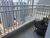 Apartamento, 3 quartos, 102 m² - Foto 28