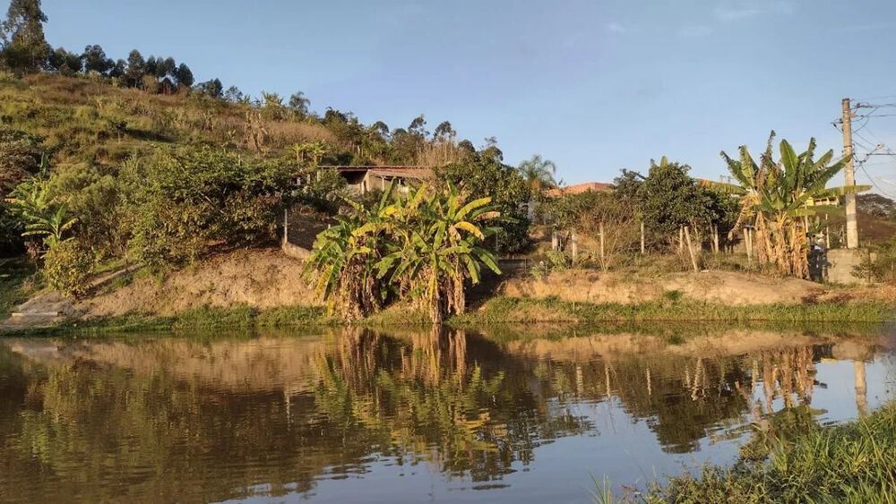 Chácara à venda com 2 quartos, 8000m² - Foto 3