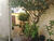Sobrado, 3 quartos, 118 m² - Foto 3